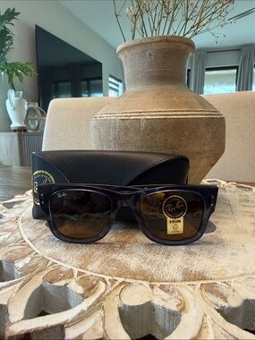Ray-Ban Sunglasses Clear Navy Blue with Brown Lenses